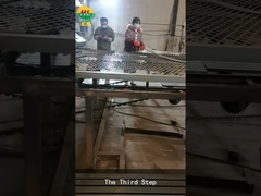 WIDEO Z OGRODZENIA Z DRUTU ŻYLETOWEGO