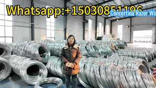 Drut żyletkowy Concertina składa się z drutu wewnętrznego i żyletki