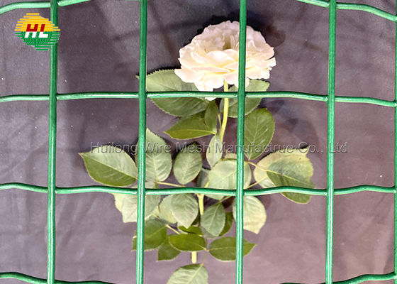 Green Pvc Coated Welded Wire Mesh Fence RAL6005 50.8x50.8mm Mesh Opening